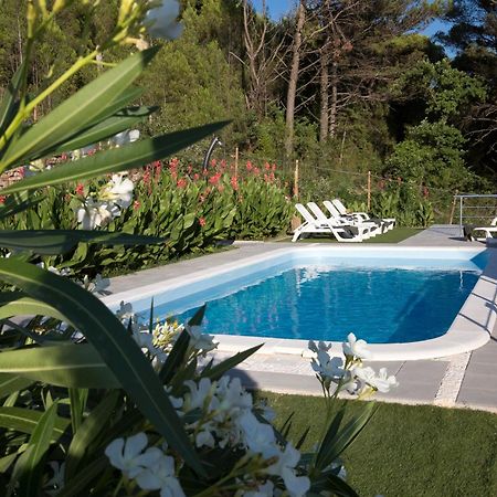 Guest House Lucija With Swimming Pool Tugare Exterior foto