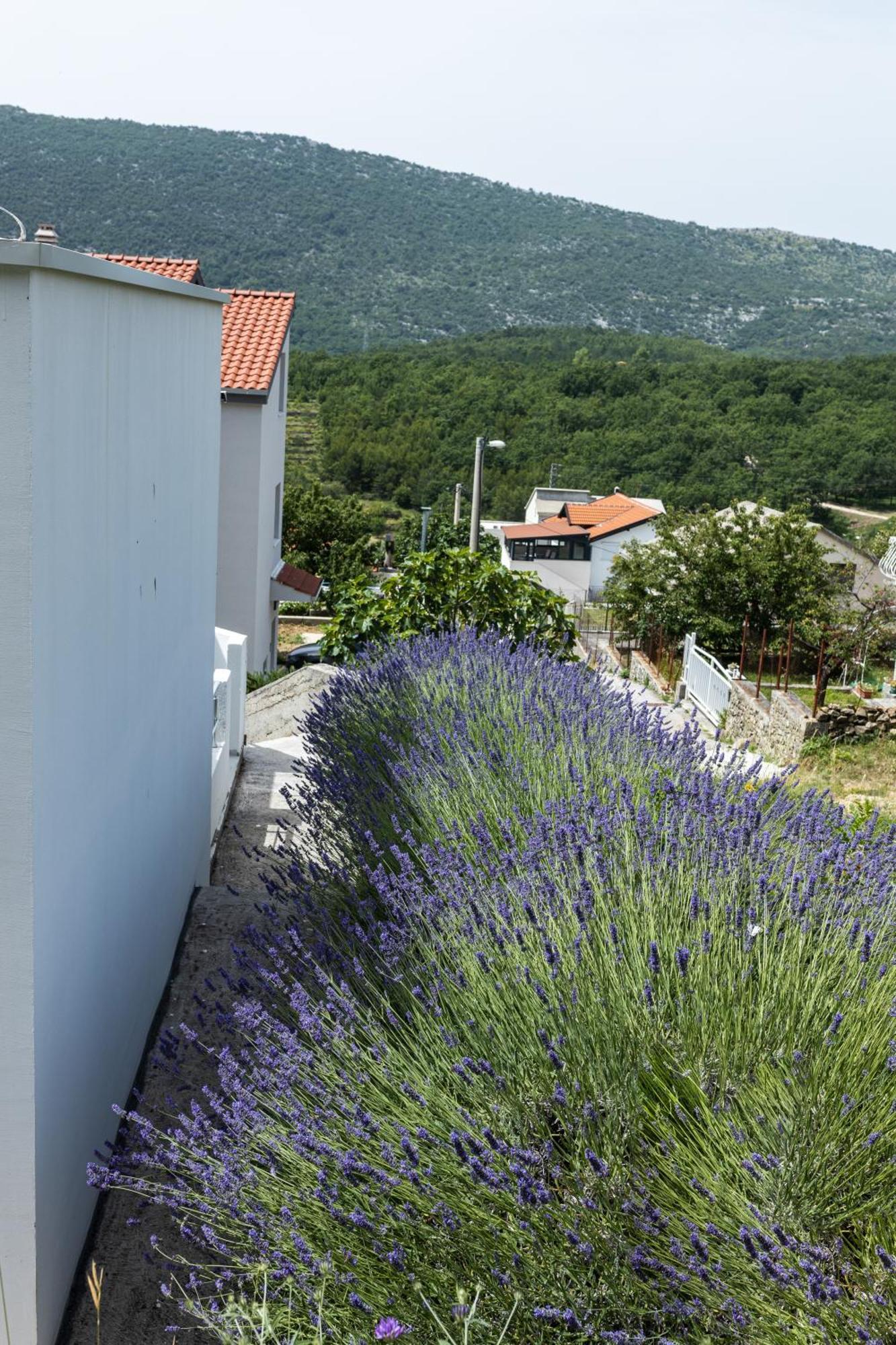 Guest House Lucija With Swimming Pool Tugare Exterior foto